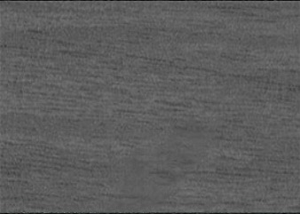 Ash Gray
